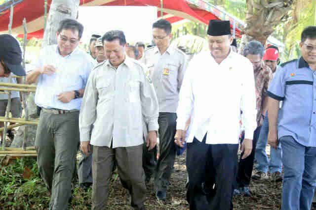 Mayulu Bersama Dirjen PHK Kemenhut Lepas Burung Maleo